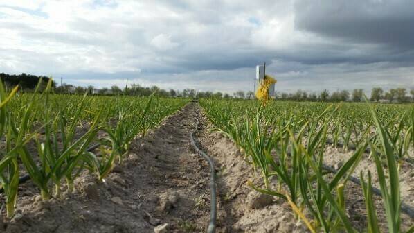 agriagua-agricultura-sostenible-charlas-en-la-biblioteca|agriagua-agricultura-sostenible-charlas-en-la-biblioteca|142